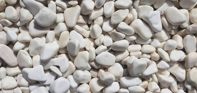 Close-up of White Dolomite Dolomite Honed 1.2 - 1.6CM (1/2 - 5/8 Inch) Small Bright White Ultra Pebbles, in White Dolomite tones.