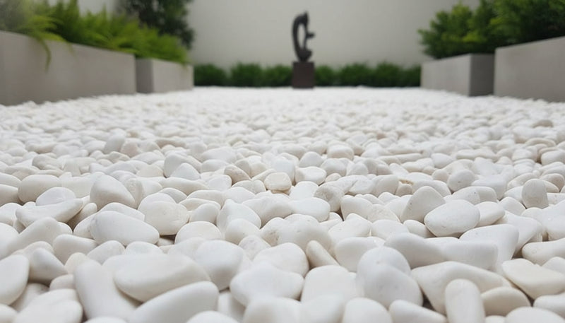 Close-up of White Dolomite Dolomite Honed 1.2 - 1.6CM (1/2 - 5/8 Inch) Small Bright White Ultra Pebbles, in White Dolomite tones.