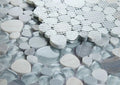 Peach Blue 2x2 Mosaic
