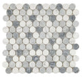 Penny Dusk Polished Marble Mosaic
