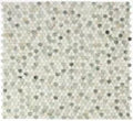 Penny Marble Spring 1x1 Mosaic
