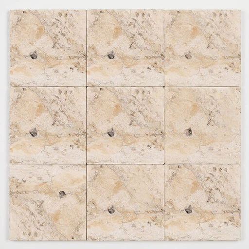 Philadelphia Travertine 12x12 Filled & Honed Travertine Tile close-up