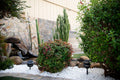 Piedra Himalaya White 0.75-1.25in 40lb Natural Stone Pebbles