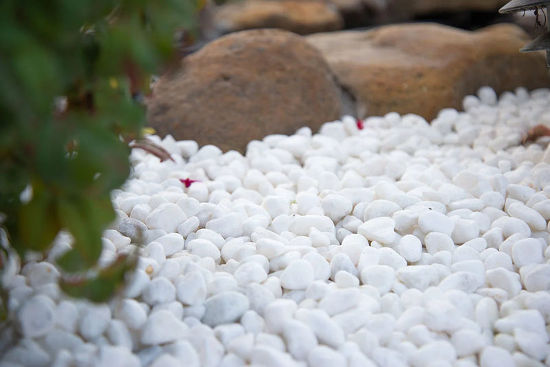 Piedra Himalaya White 0.75-1.25in 40lb Natural Stone Pebbles