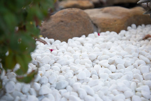 Piedra Himalaya White 0.75-1.25in 40lb Natural Stone Pebbles