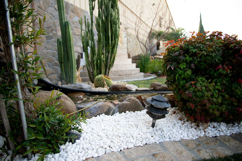 Piedra Himalaya White 1-2in 40lb Natural Stone Pebbles