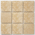 Piedra Sole Limestone Tile 12x12 Leathered close-up