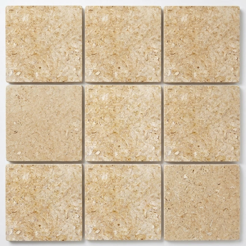 Piedra Sole Limestone Tile 12x12 Leathered close-up