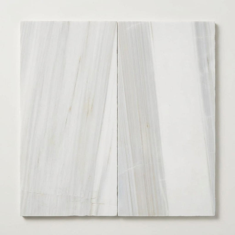 Pietra Divina Marble Tile Calacatta Dolomiti Honed 12x24 close-up