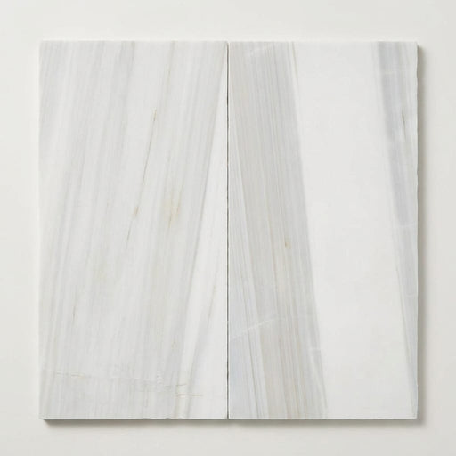 Pietra Divina Marble Tile Calacatta Dolomiti Honed 12x24 close-up