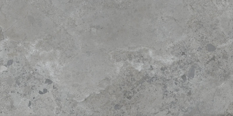 Pietra Viva Grey 23.6x47.2 Matte Porcelain Tile