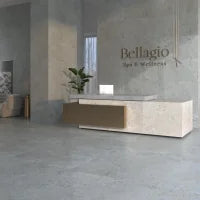 Pietra Viva Grey 23.6x47.2 Matte Porcelain Tile