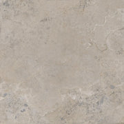 Pietra Viva Taupe 47.2x47.2 Matte Porcelain Tile