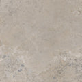 Pietra Viva Taupe 35.4x35.4 Matte Porcelain Tile