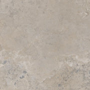 Pietra Viva Taupe 35.4x35.4 Matte Porcelain Tile