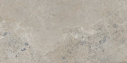 Pietra Viva Taupe 23.6x47.2 Matte Porcelain Tile