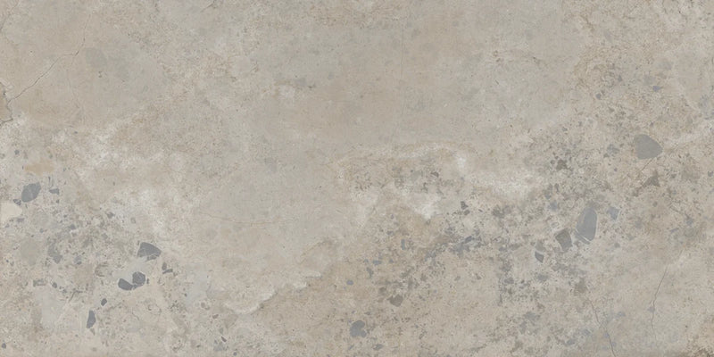Pietra Viva Taupe 23.6x47.2 Matte Porcelain Tile