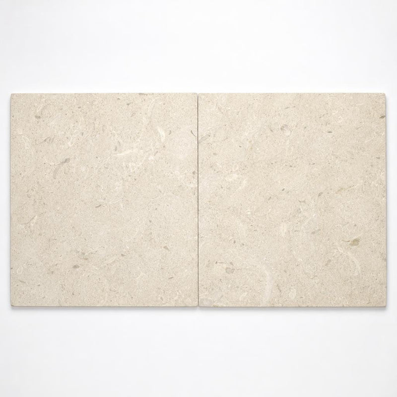 Platinum Ice 24x24 Tumbled Limestone Paver close-up