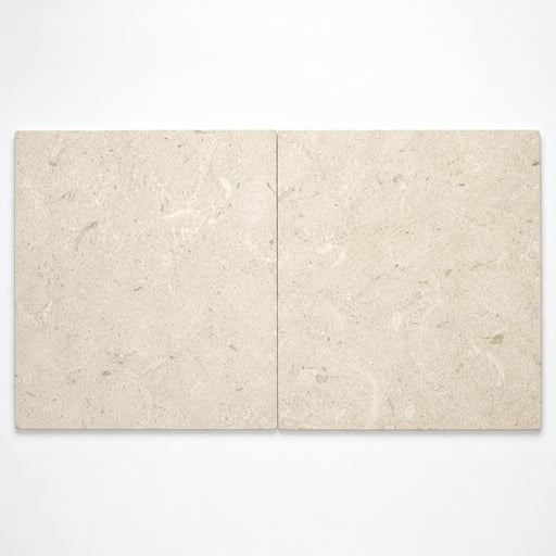 Platinum Ice 24x24 Tumbled Limestone Paver close-up