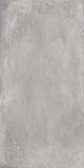 Plus One 8mm Ash 24x48 Porcelain Tile
