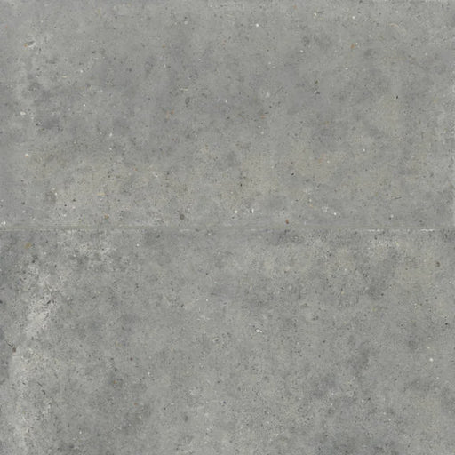 Poetry Stone Grey 48x24 Matte Ceramic Field Tile