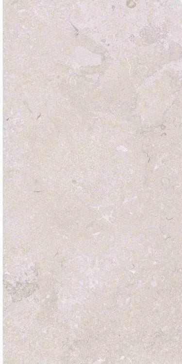 Port Land Stone Greige 12x24 Matte Stone Look Porcelain Tile