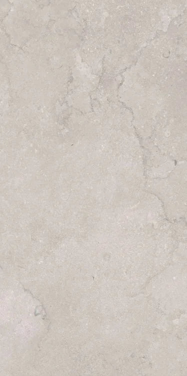 Port Land Stone Greige 24x48 Matte Stone Look Porcelain Tile