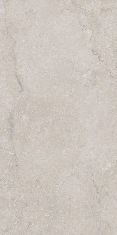Port Land Stone Greige 24x48 Matte Stone Look Porcelain Tile