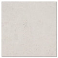 Porto Beige (Semi Rijo) 12x12 Honed Natural Limestone Tile