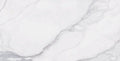 Portofino Calacatta 24x48 Matte Porcelain Tile