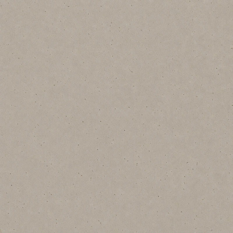 Poseidon 65x130 quartz slab with a warm greige background and fine speckled texture.