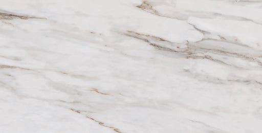 LM Calacata Gold MT 24x48 Rectified Porcelain Tile