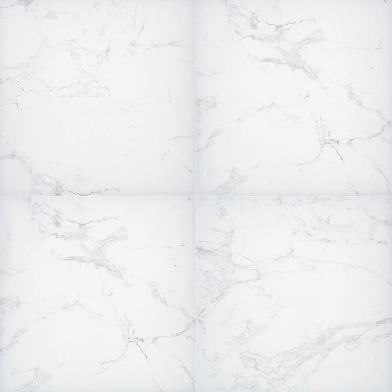 Praia Carrara 24x24 Matte Porcelain Paver