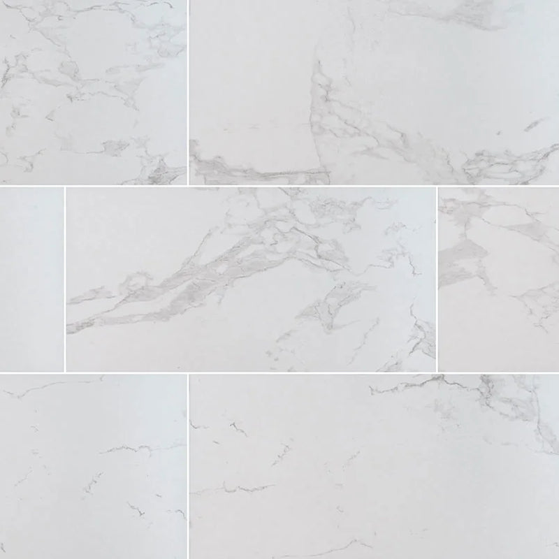Praia Carrara 24x48 Matte Porcelain Marble Look Floor Tile