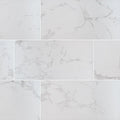 Praia Carrara 2x2 Matte Porcelain Marble Look Mosaic Tile