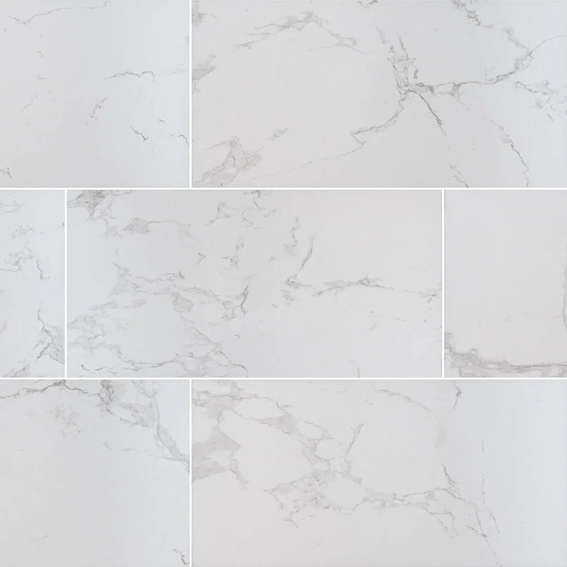 Praia Carrara 2x2 Matte Porcelain Marble Look Mosaic Tile