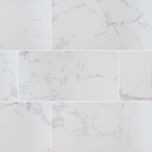 Praia Carrara 2x2 Matte Porcelain Marble Look Mosaic Tile