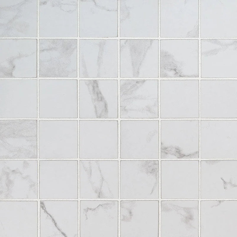 Praia Carrara 2x2 Matte Porcelain Marble Look Mosaic Tile
