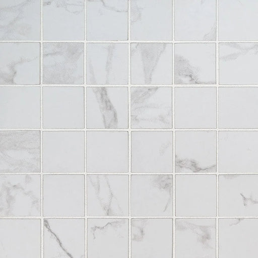 Praia Carrara 2x2 Matte Porcelain Marble Look Mosaic Tile