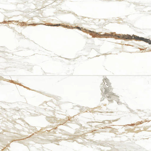 Prati Calacatta Macchia Vecchia 48x24 Polished Ceramic Field Tile