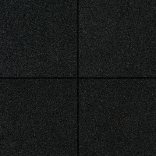 Premium Black 24x24 Polished Granite Tile
