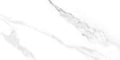 Prestige White Calacatta 12x24 Polished Porcelain Wall & Floor Tile