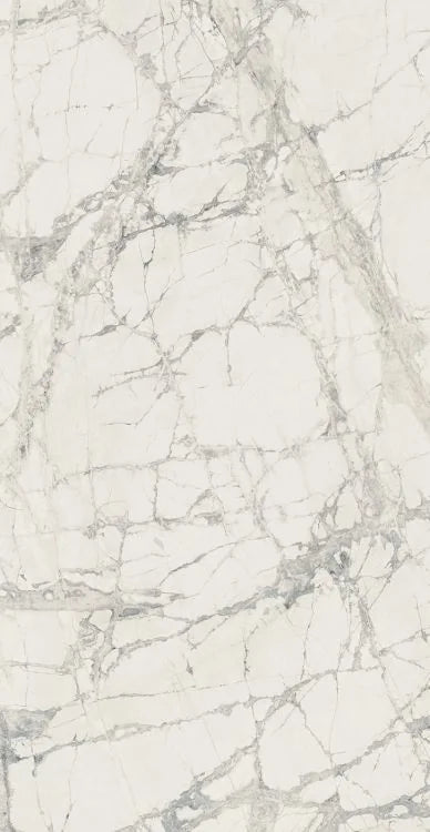 Prexious Mountain Treasure 24x48 Matte Porcelain Tile
