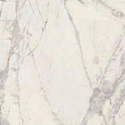 Prexious Mountain Treasure 48x48 Glossy Porcelain Tile