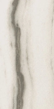 Prexious White Fantasy 12x24 Matte Porcelain Tile