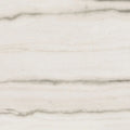 Prexious White Fantasy 24x24 Matte Porcelain Tile