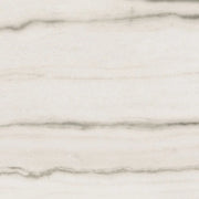 Prexious White Fantasy 24x24 Matte Porcelain Tile