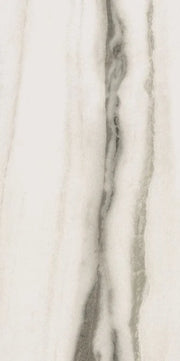 Prexious White Fantasy 24x48 Glossy Porcelain Tile