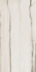 Prexious White Fantasy 24x48 Glossy Porcelain Tile