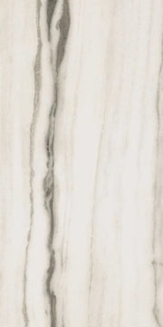 Prexious White Fantasy 24x48 Matte Porcelain Tile